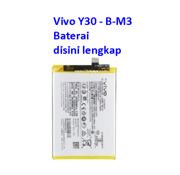 batre-vivo-y30-y50-b-m3