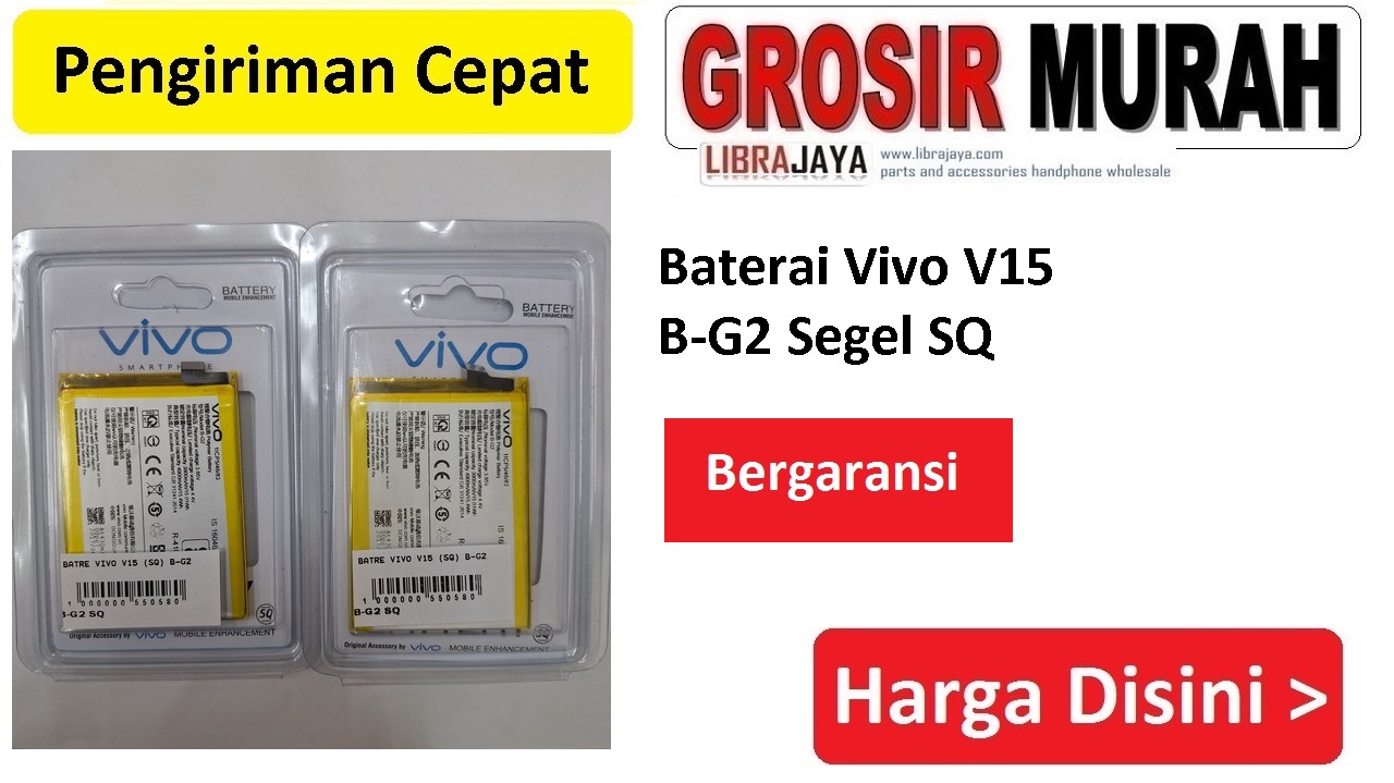 Baterai Vivo V15 B-G2 Segel SQ