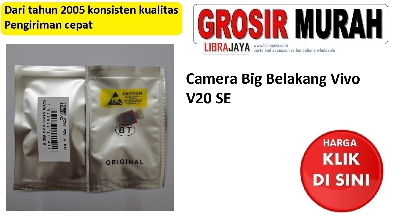 Camera Big Belakang Vivo V20 SE