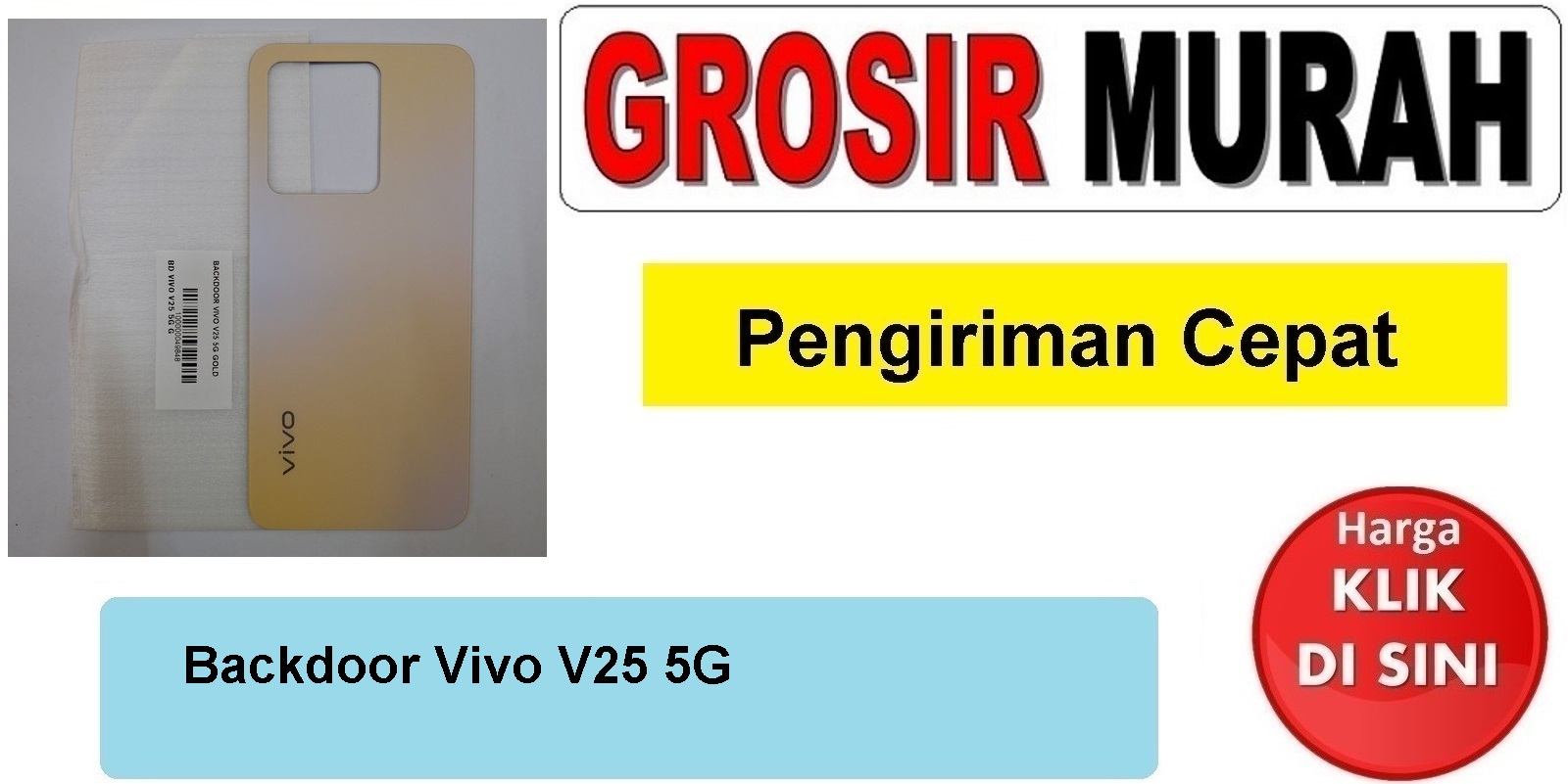 Backdoor Vivo V25 5G Backcover Tutup Belakang Spare Part Hp Grosir